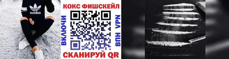 COCAIN Fish Scale Купить где Сясьстрой