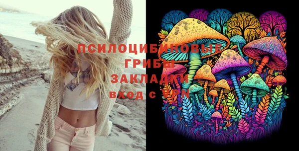 шишки Арсеньев