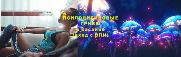 шишки Арсеньев