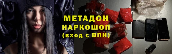 шишки Арсеньев