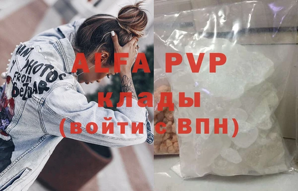 шишки Арсеньев