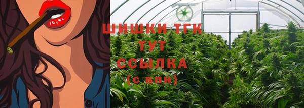 шишки Арсеньев
